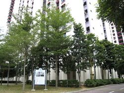 Blk 119B Kim Tian 119 (Bukit Merah), HDB 4 Rooms #615749171